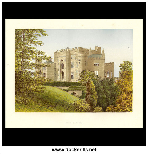 Birr Castle, Pasonstown, Kings Co., Ireland. Antique Print, Chromoxylograph 1880.