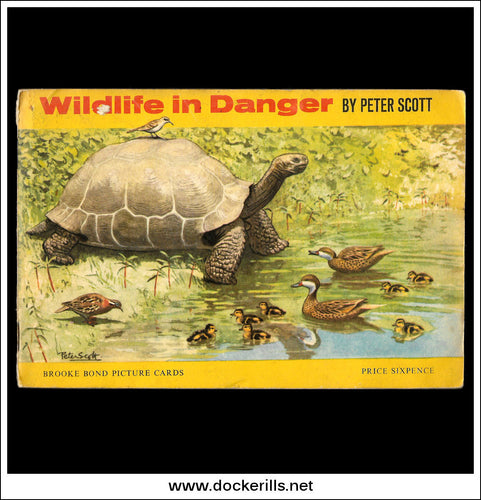 Brooke Bond Tea Card Album - Wildlife In Danger 1963.