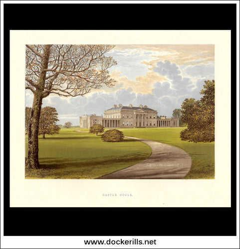Castle Coole, Co. Fermanagh, Northern Ireland. Antique Print, Chromoxylograph 1880.