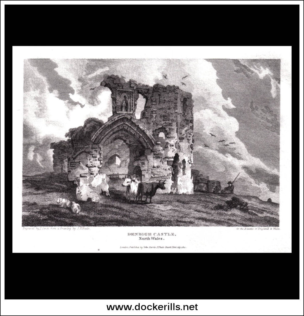 Denbigh Castle, Denbighshire, Wales. Antique Print, Copper Plate Engraving 1814.