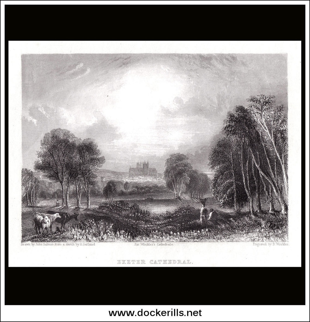 Exeter Cathedral South West View Devonshire England antique print