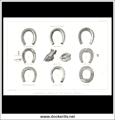 Farriery - Varieties Of Shoes - Plate 1. Antique Print, Lithograph c. 1880.