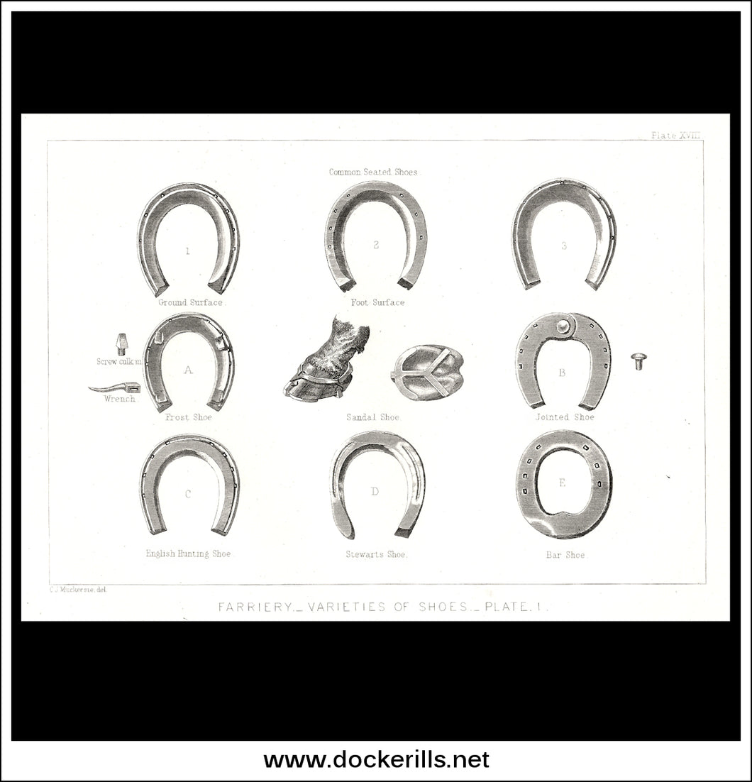 Farriery - Varieties Of Shoes - Plate 1. Antique Print, Lithograph c. 1880.