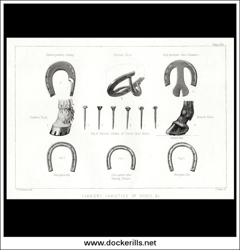 Farriery - Varieties Of Shoes & c. Antique Print, Lithograph c. 1880.