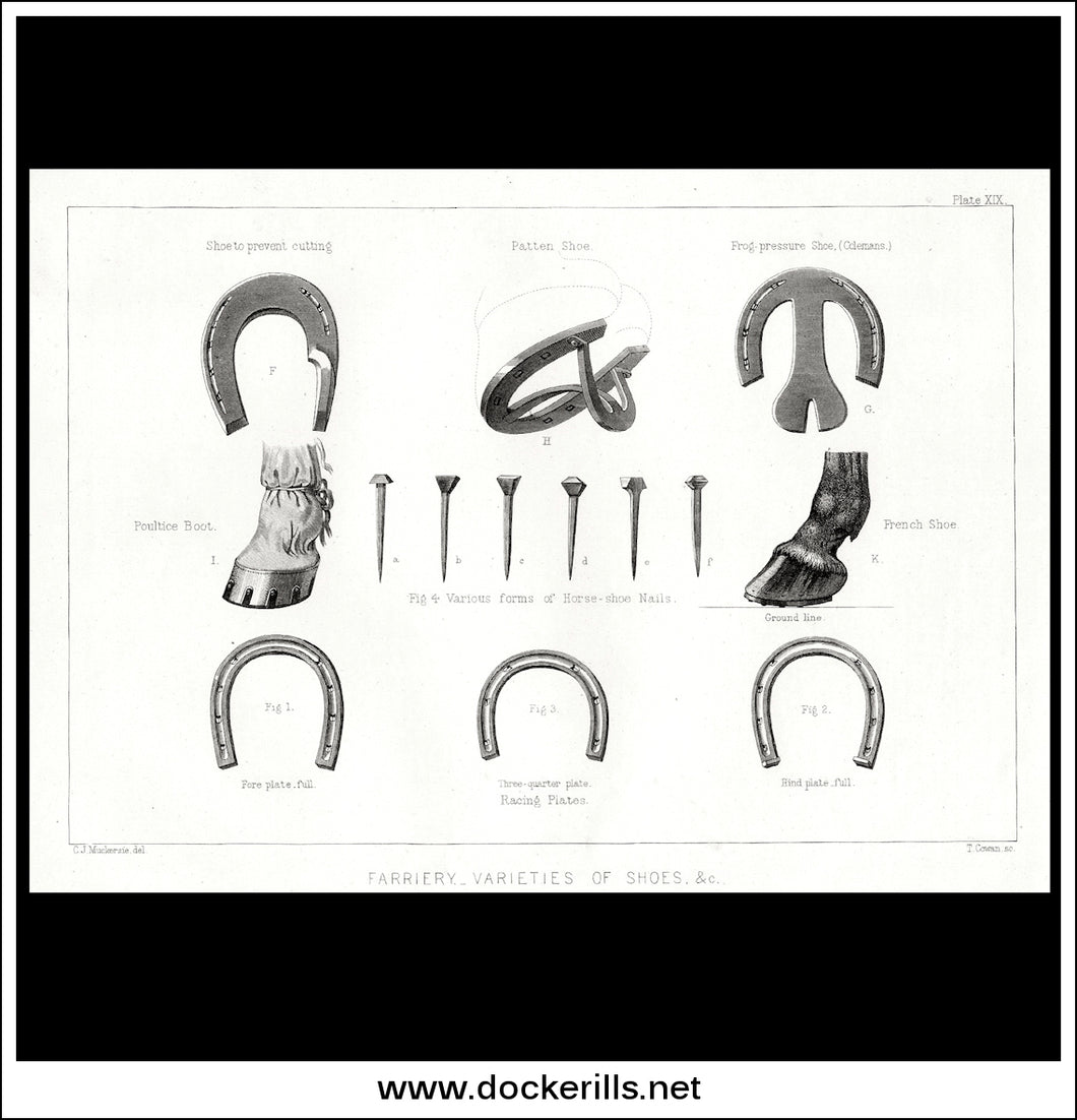Farriery - Varieties Of Shoes & c. Antique Print, Lithograph c. 1880.