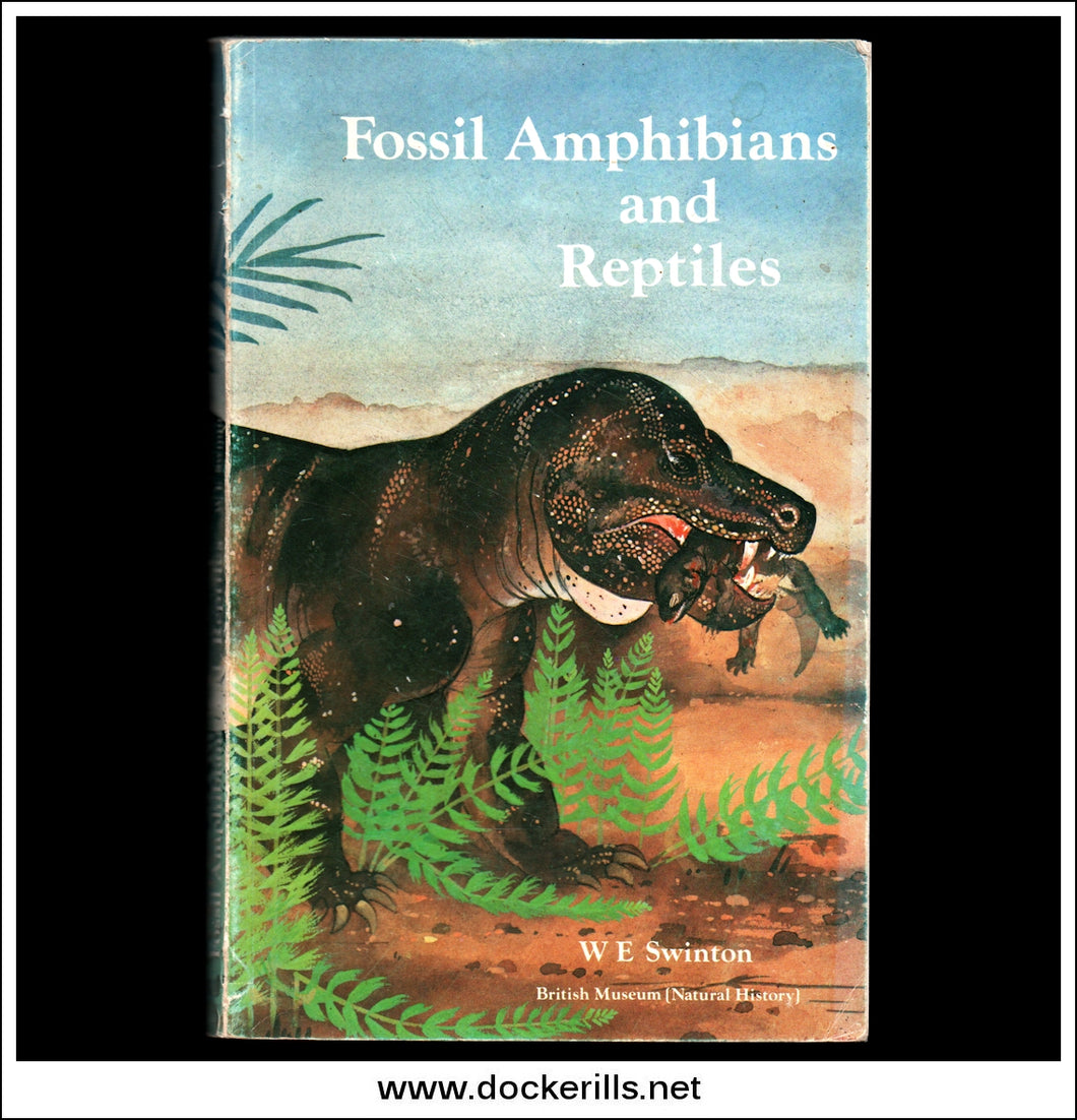 Fossil Amphibians And Reptiles By W.E. Swinton.