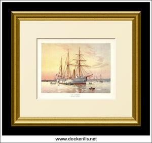 H.M.S. Bramble, 1st Class Gunboat, Her Majesty's Navy. Antique Print c. 1890 - FRAMED.