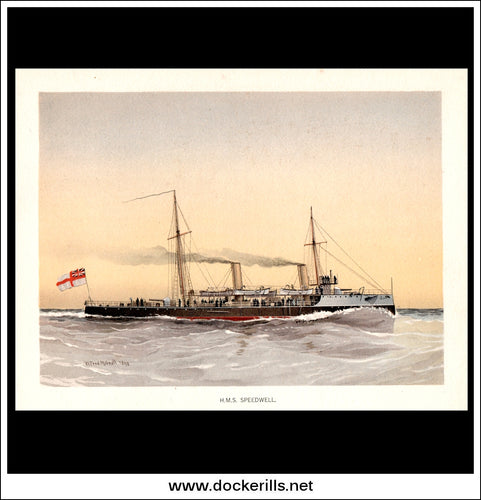 H.M.S Speedwell, Torpedo Gunship, Her Majesty's Navy. Antique Print c. 1890.