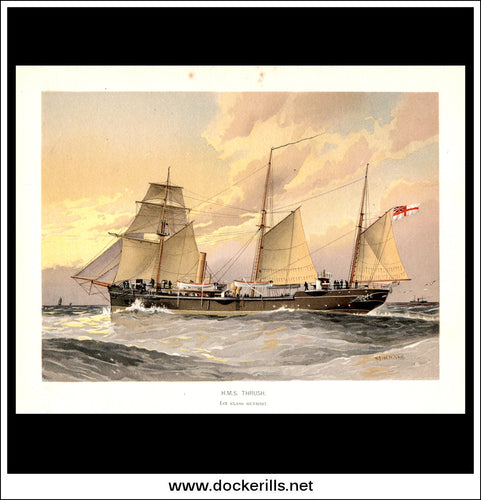 H.M.S. Thrush, 1st Class Gunboat, Her Majesty's Navy. Antique Print c. 1890.