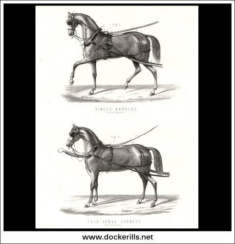 Horse Harness. Antique Print, Lithograph c. 1880.