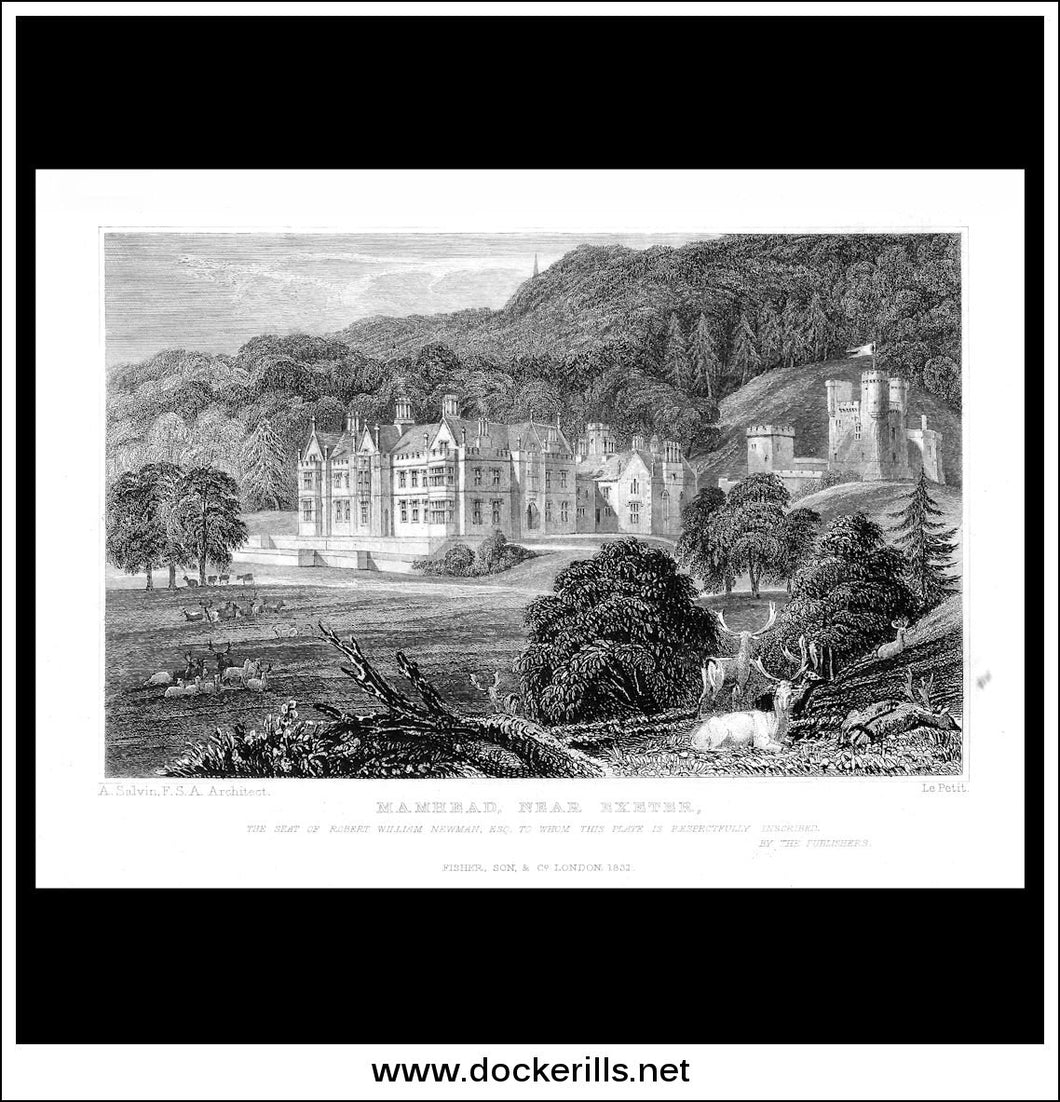 Mamhead, Near Exeter, Devonshire, England. Antique Print, Steel Engraving 1832.