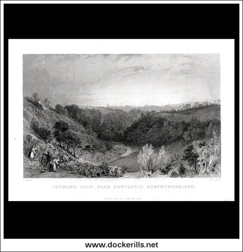 Jesmond Dean Near Newcastle, Northumberland, England. Antique Print, Steel Engraving 1834.