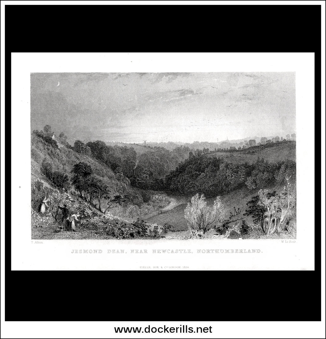 Jesmond Dean Near Newcastle, Northumberland, England. Antique Print, Steel Engraving 1834.