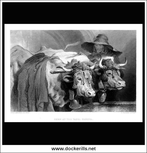 Oxen At The Tank, Geneva, Sir E. Landseer R.A., Antique Print, Steel Engraving c. 1875.