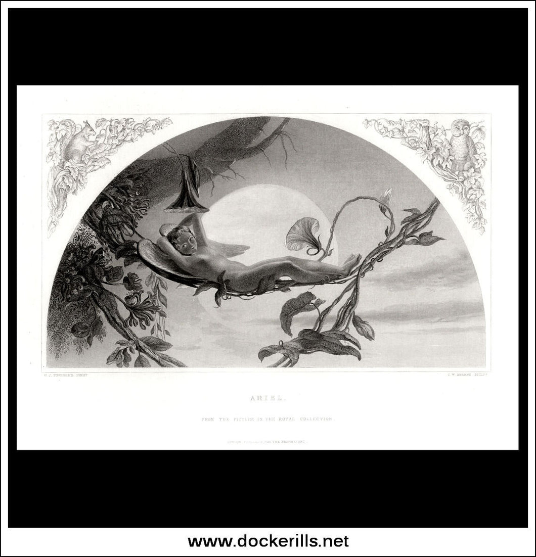 Ariel, H.J. Townsend, Antique Print, Steel Engraving c. 1875.
