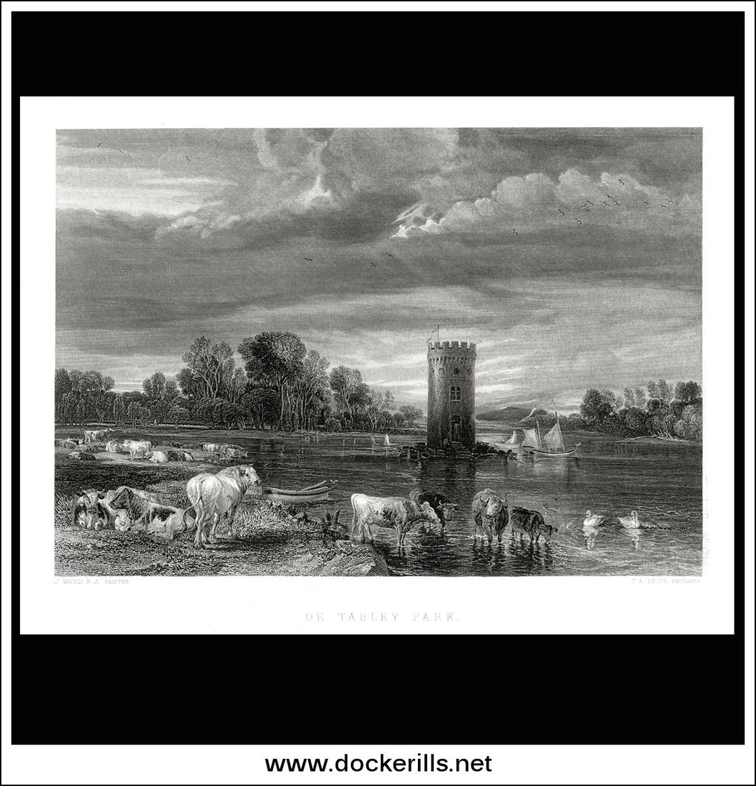 De Tabley Park, J. Ward R.A., Antique Print, Steel Engraving c. 1875.
