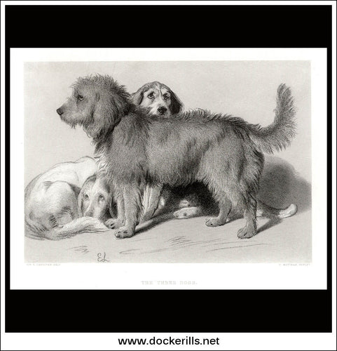 The Three Dogs, Sir E. Landseer, Antique Print, Steel Engraving c. 1875.