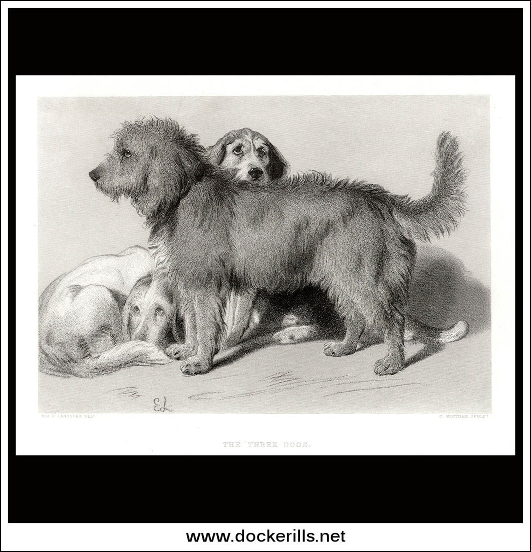 The Three Dogs, Sir E. Landseer, Antique Print, Steel Engraving c. 1875.