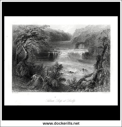 Salmon Leap At Leixlip, Co. Kldare, Ireland. Antique Print, Steel Engraving c. 1840.