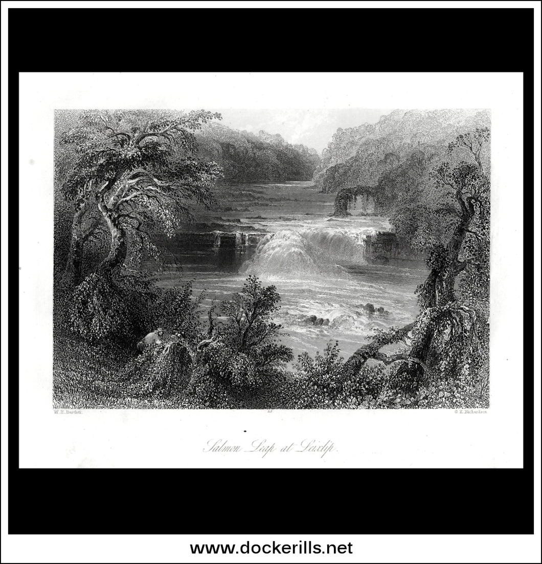 Salmon Leap At Leixlip, Co. Kldare, Ireland. Antique Print, Steel Engraving c. 1840.