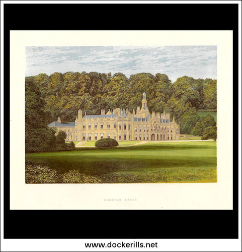 Shelton Abbey, Near Arklow, Co. Wicklow, Ireland. Antique Print, Chromoxylograph 1880.