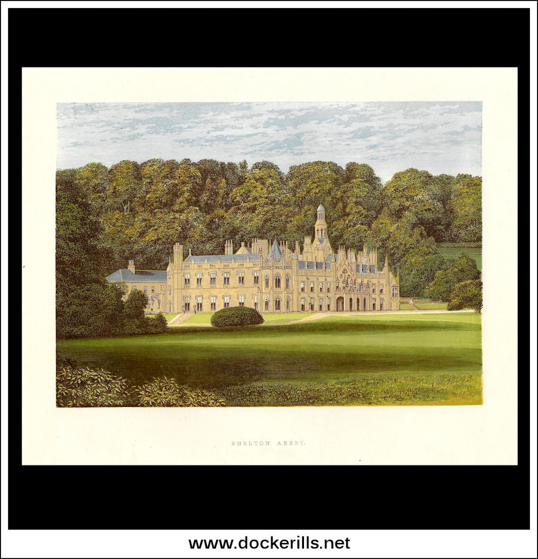 Shelton Abbey, Near Arklow, Co. Wicklow, Ireland. Antique Print, Chromoxylograph 1880.