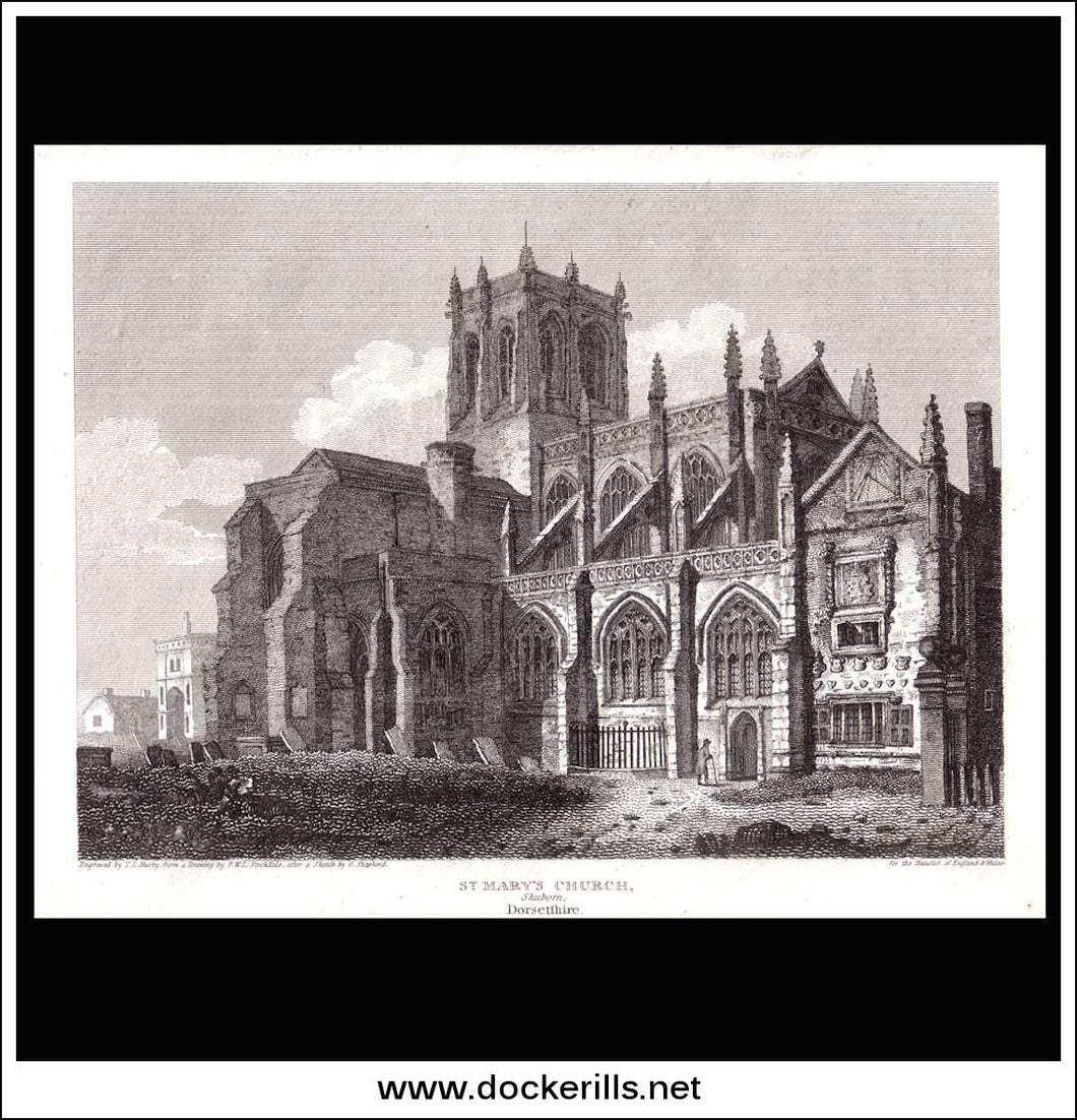 St. Mary's Church, Shuborn, Dorset, England. Antique Print, Copper Plate Engraving 1810.