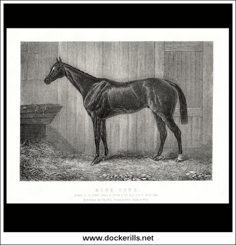 Blue Gown. Winner Of The Derby Stakes At Epsom / Gold Cup At Ascot 1868.