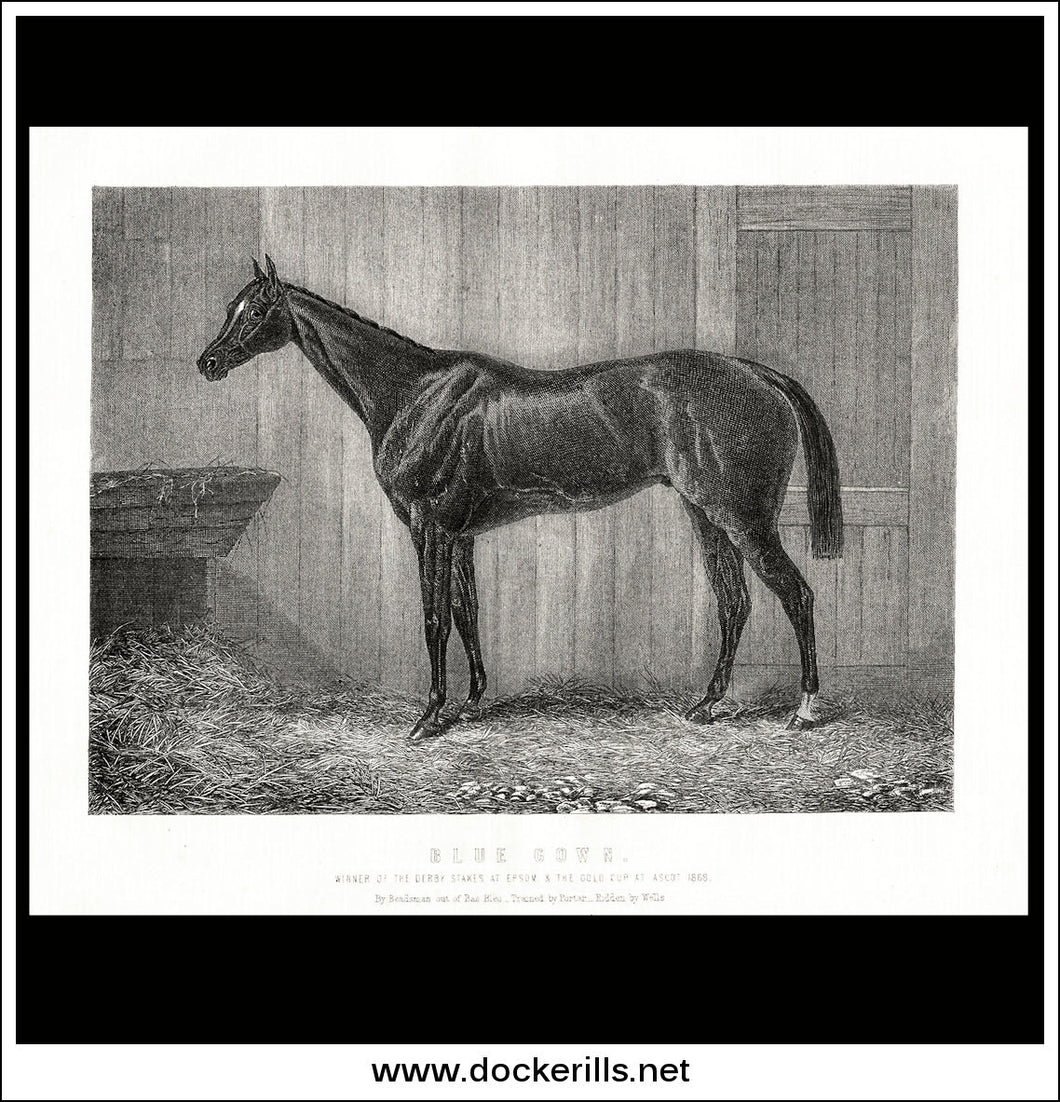 Blue Gown. Winner Of The Derby Stakes At Epsom / Gold Cup At Ascot 1868.