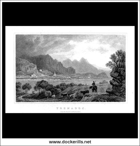Tremadoc, Caernarvonshire, Wales. Antique Print, Steel Engraving c. 1830.