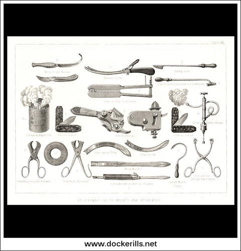 Veterinary Instruments And Apparatus. Antique Print, Lithograph c. 1880.
