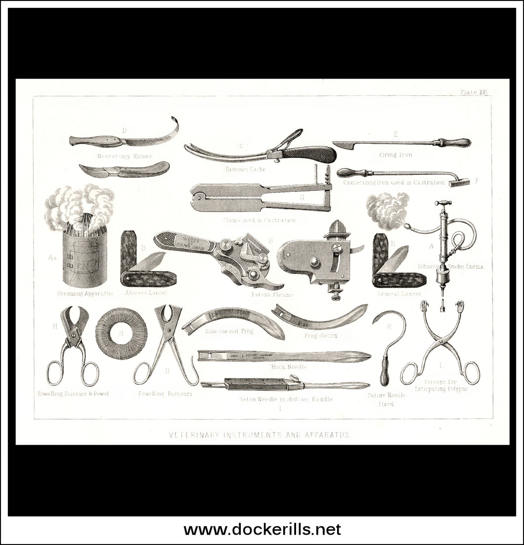Veterinary Instruments And Apparatus. Antique Print, Lithograph c. 1880.