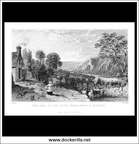 Weir Head Of The River Tamar, Devonshire, England. Antique Print, Steel Engraving 1832.
