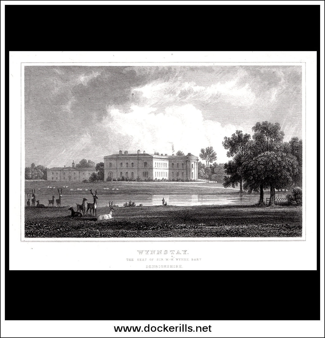 Antique Print Wynnstay, Denbighshire, Wales. Steel Engraving c. 1830.